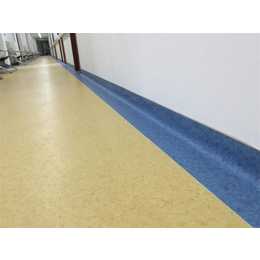 海南塑膠地板公司、海南塑膠地板、君衡(查看)